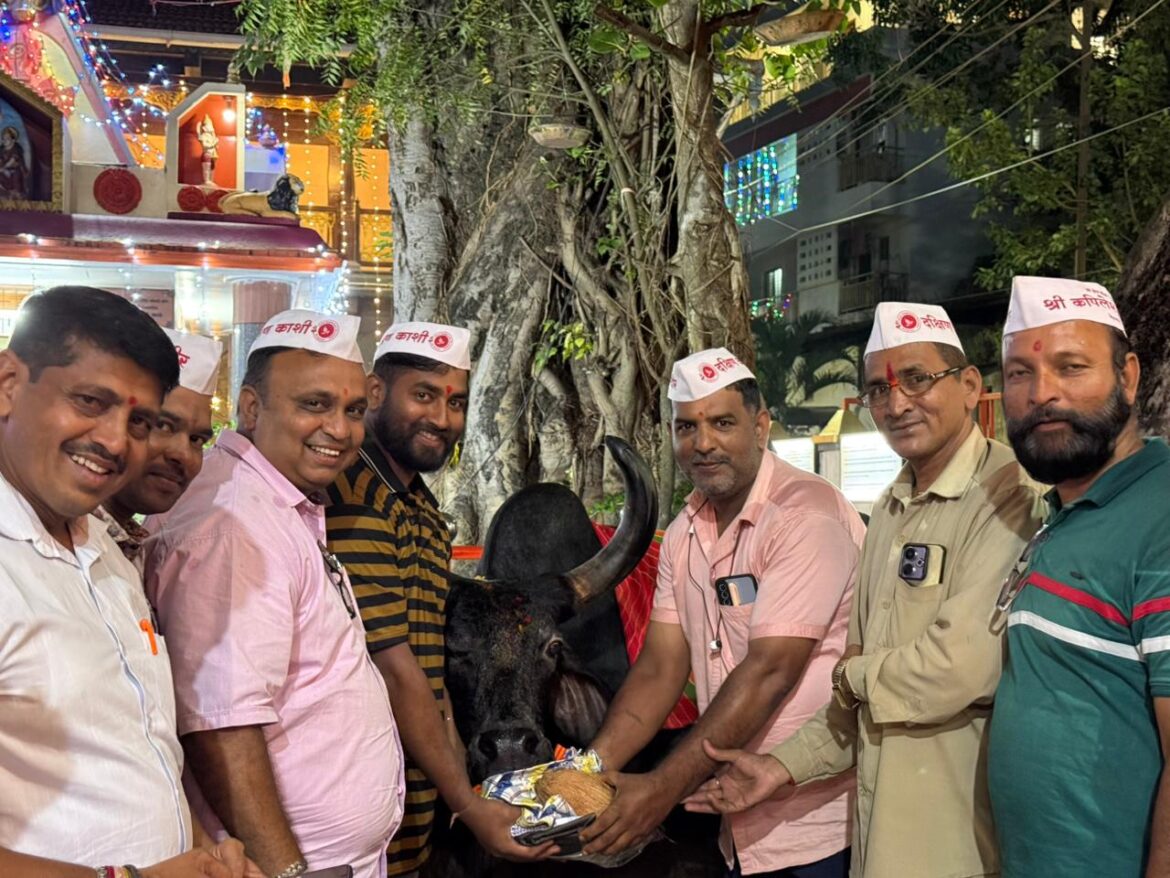 श्री क्षेत्र दक्षिणकाशी कपिलेश्वर मंदिरात वसुबारस निमित्त गाय-वासरू पूजन