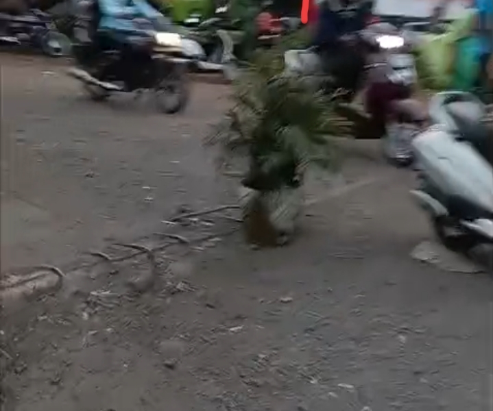 सरस्वतीनगर प्रवेशद्वाराजवळ वाहतुकीचा धोका : गटारीवरील स्लॅबच्या लोखंडी सळया उघड्या