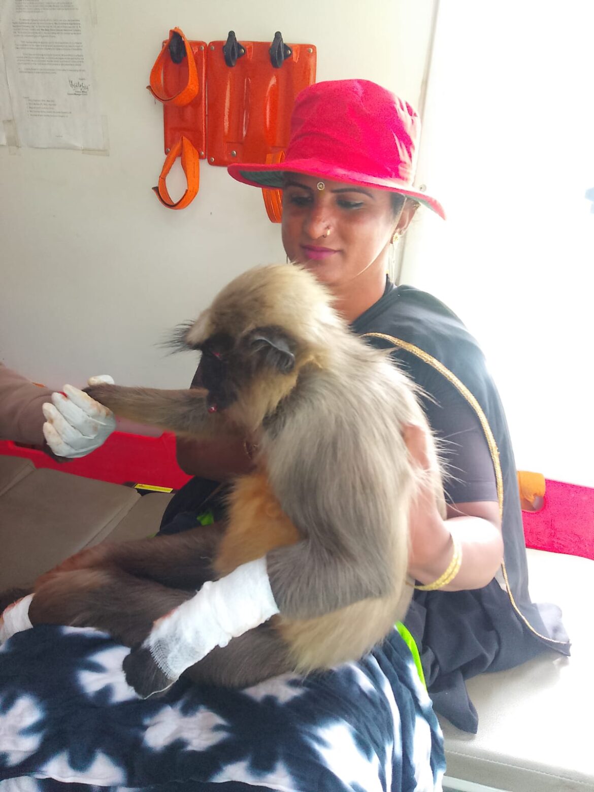 हत्तरगी टोलवर ट्रान्सजेंडर प्रदीप यांचा करुणेचा आदर्श — जखमी माकडाला दिला जीवदान