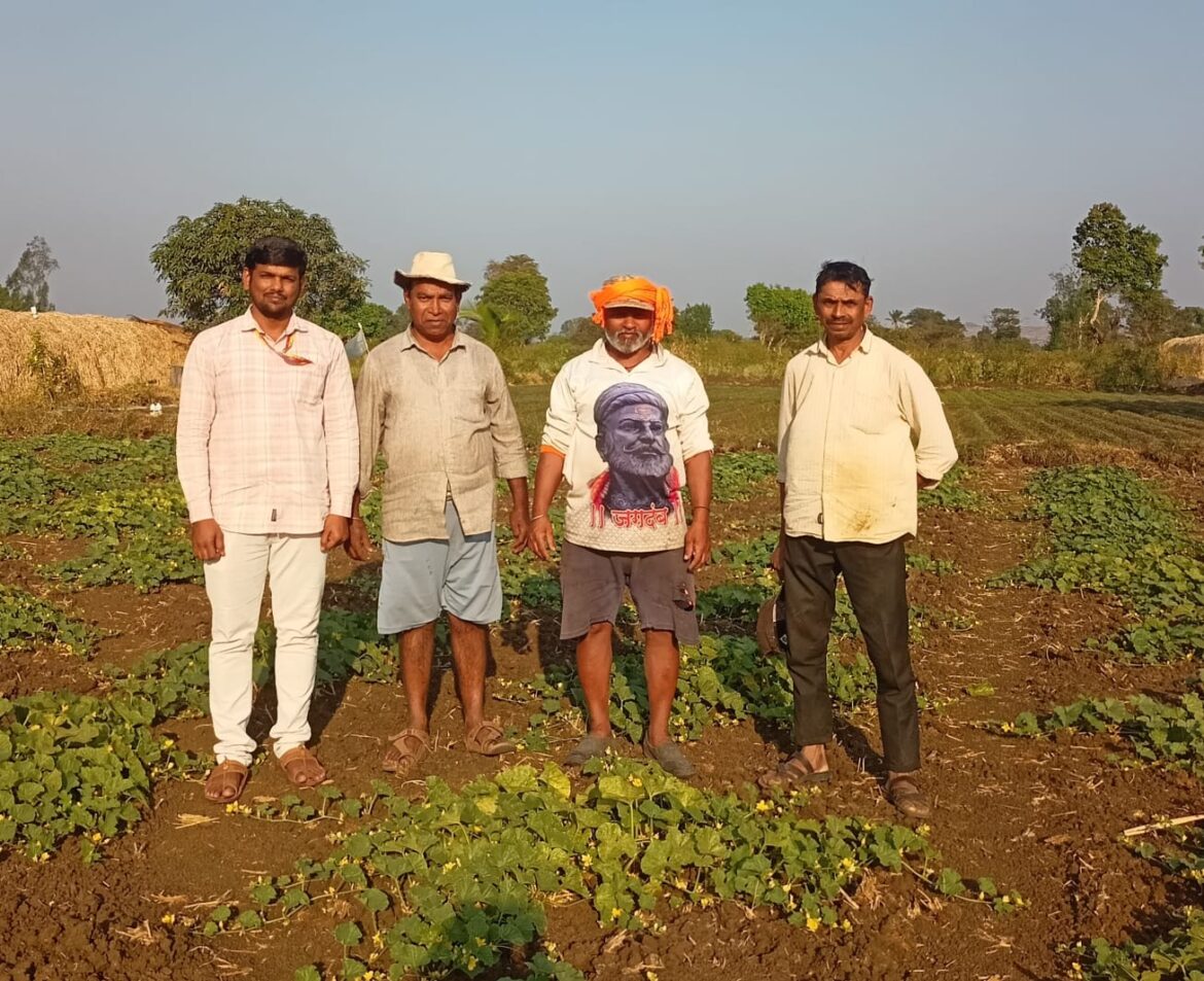 कृषी सहाय्यकांचा शेतकऱ्यांना प्रत्यक्ष सल्ला; किड नियंत्रणासाठी मार्गदर्शन