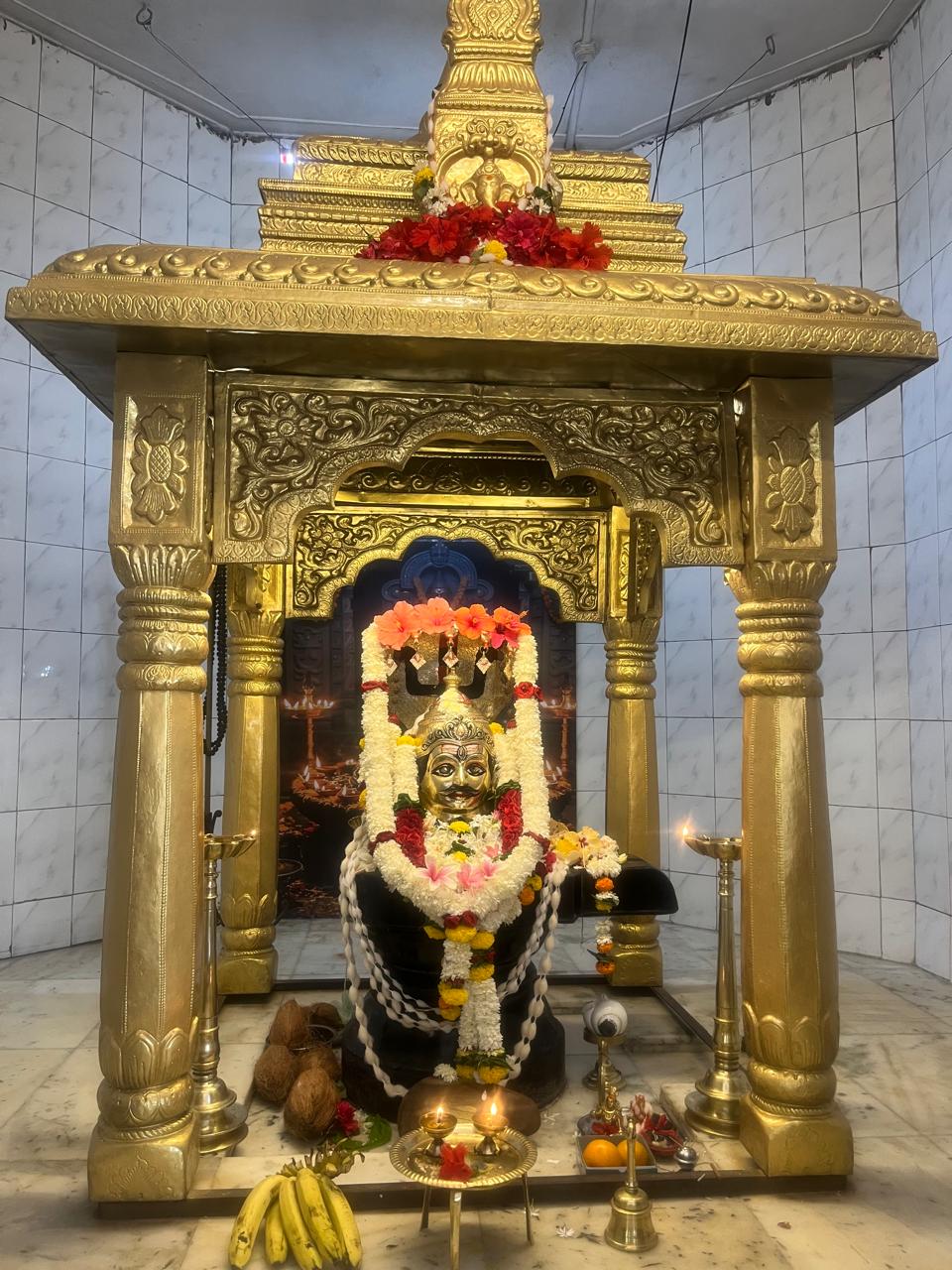 शिवगिरी शिवमंदिरात महाशिवरात्रीनिमित्त महारुद्राभिषेक व विविध धार्मिक कार्यक्रमांचे आयोजन