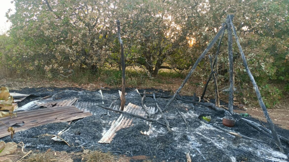 चलवेनहट्टी येथे झोपडीला आग; काजूच्या झाडांचे मोठे नुकसान