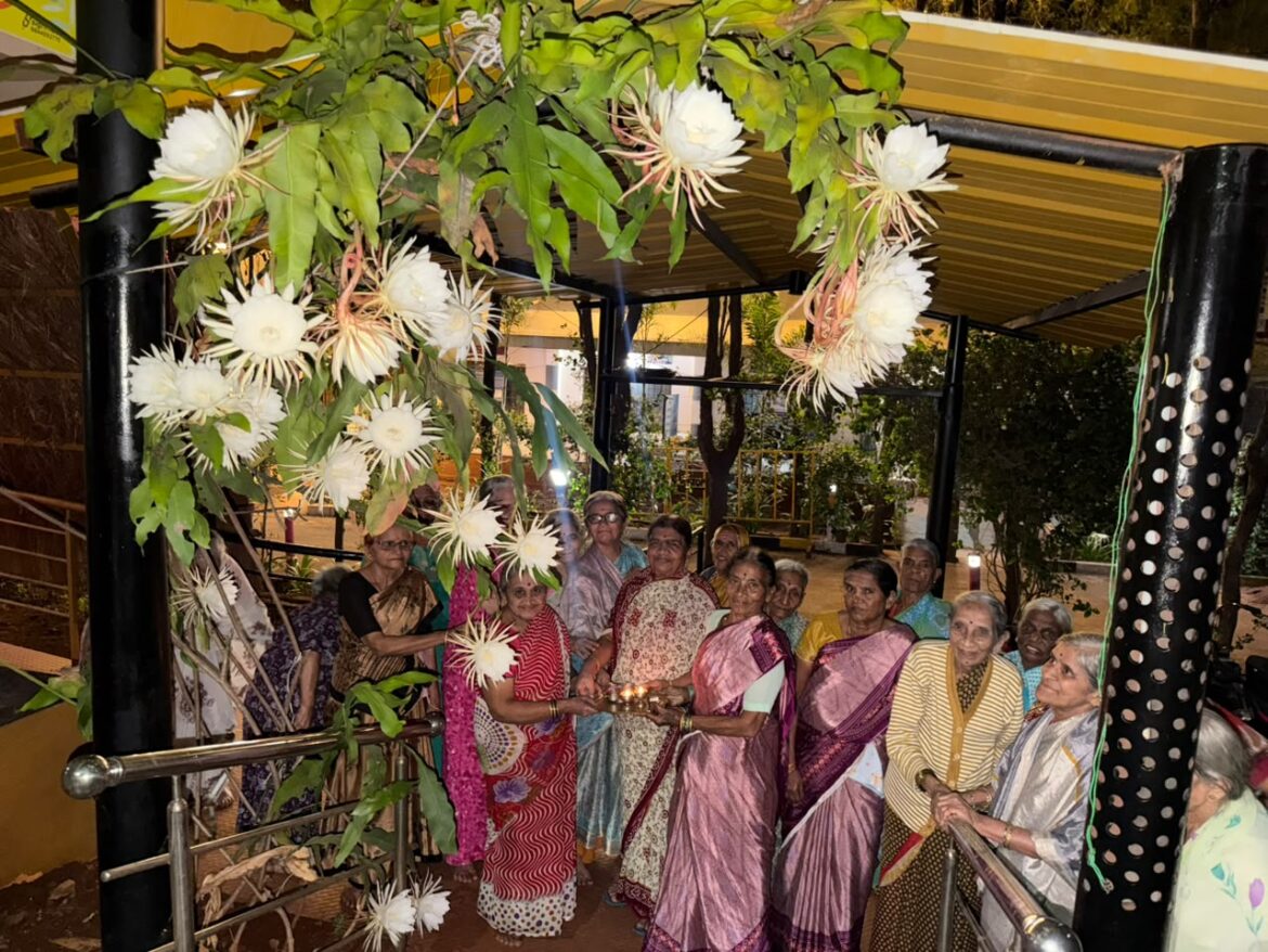 ३२ ब्रह्मकमळांच्या दुर्मिळ बहराने शांताई वृद्धाश्रमात आनंद आणि भक्तिमय वातावरण
