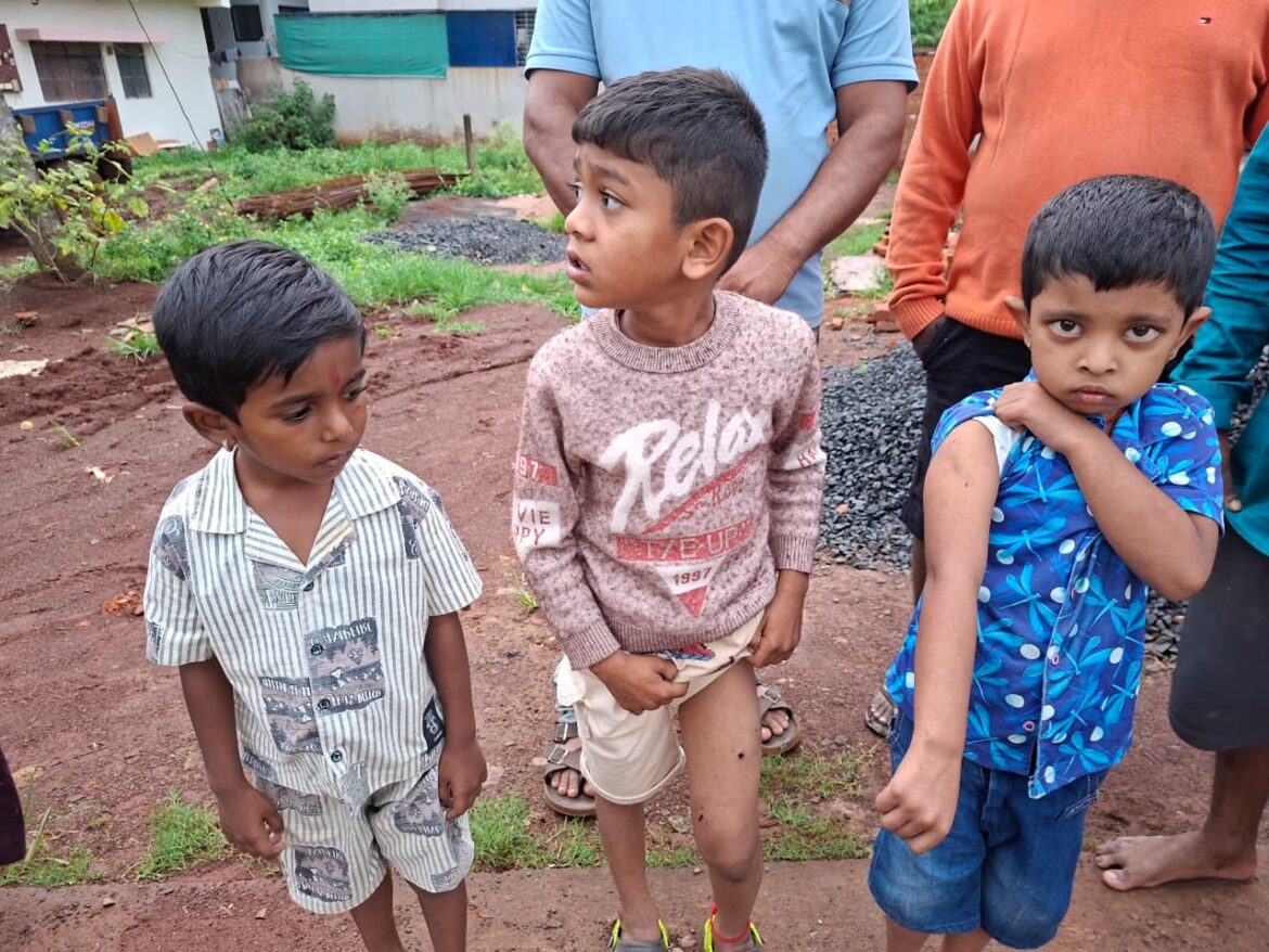 पार्वती नगर, कंग्राळी बी.के. व कंग्राळी के.एच. येथे भटक्या कुत्र्यांचा वाढता उपद्रव; नागरिकांमध्ये भीतीचे वातावरण