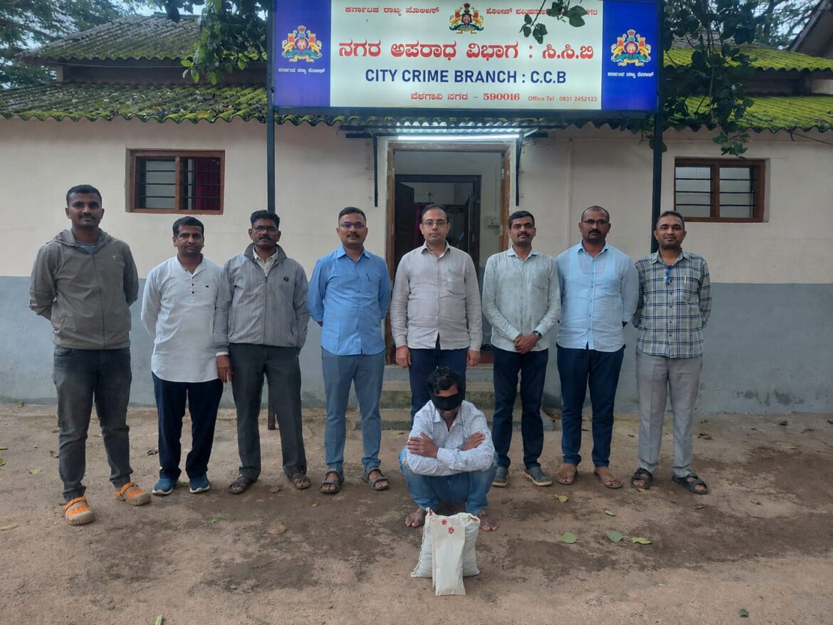 बेळगाव पोलिसांची कारवाई; गांजा, जुगार व अवैध दारूविक्रीवर धडक कारवाई